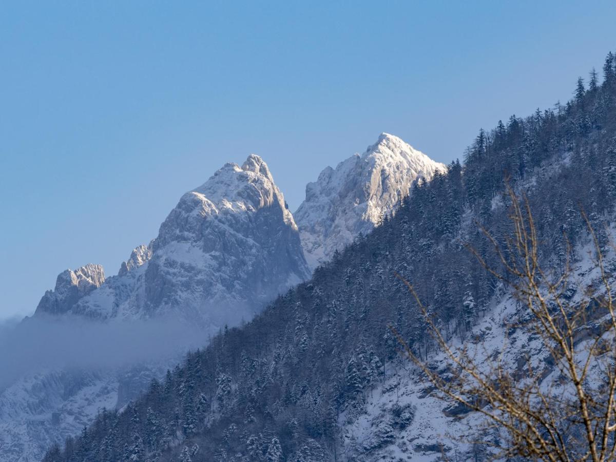 Alpengasthof Veitenhof Villa Ebbs Ngoại thất bức ảnh
